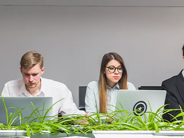 Greenwashing o Blanqueo Ecológico: ¿qué es y cómo evitarlo?