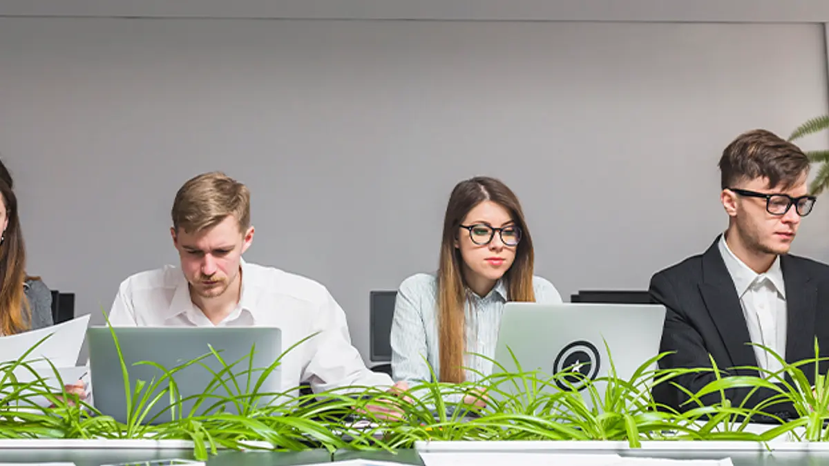 Greenwashing o Blanqueo Ecológico: ¿qué es y cómo evitarlo?