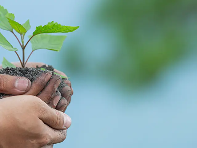 Conciencia ambiental: cómo implementarla en las empresas