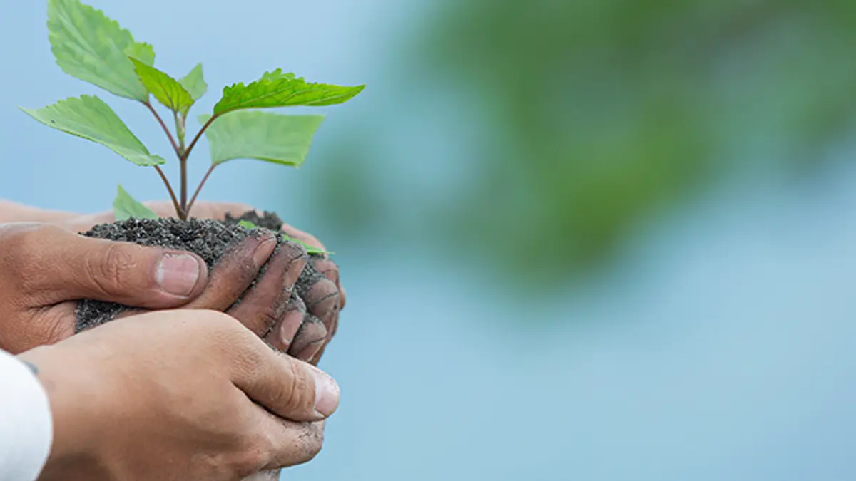 Conciencia ambiental: cómo implementarla en las empresas
